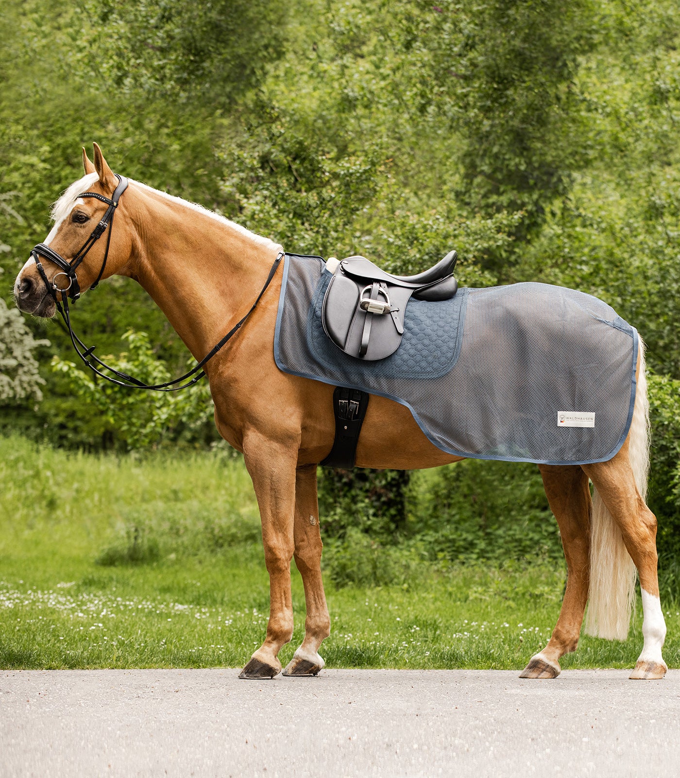 K b Waldhausen Comfort Insekt Rided kken Riders Deluxe k-b-waldhausen-comfort-insekt-rided-kken-riders-deluxe