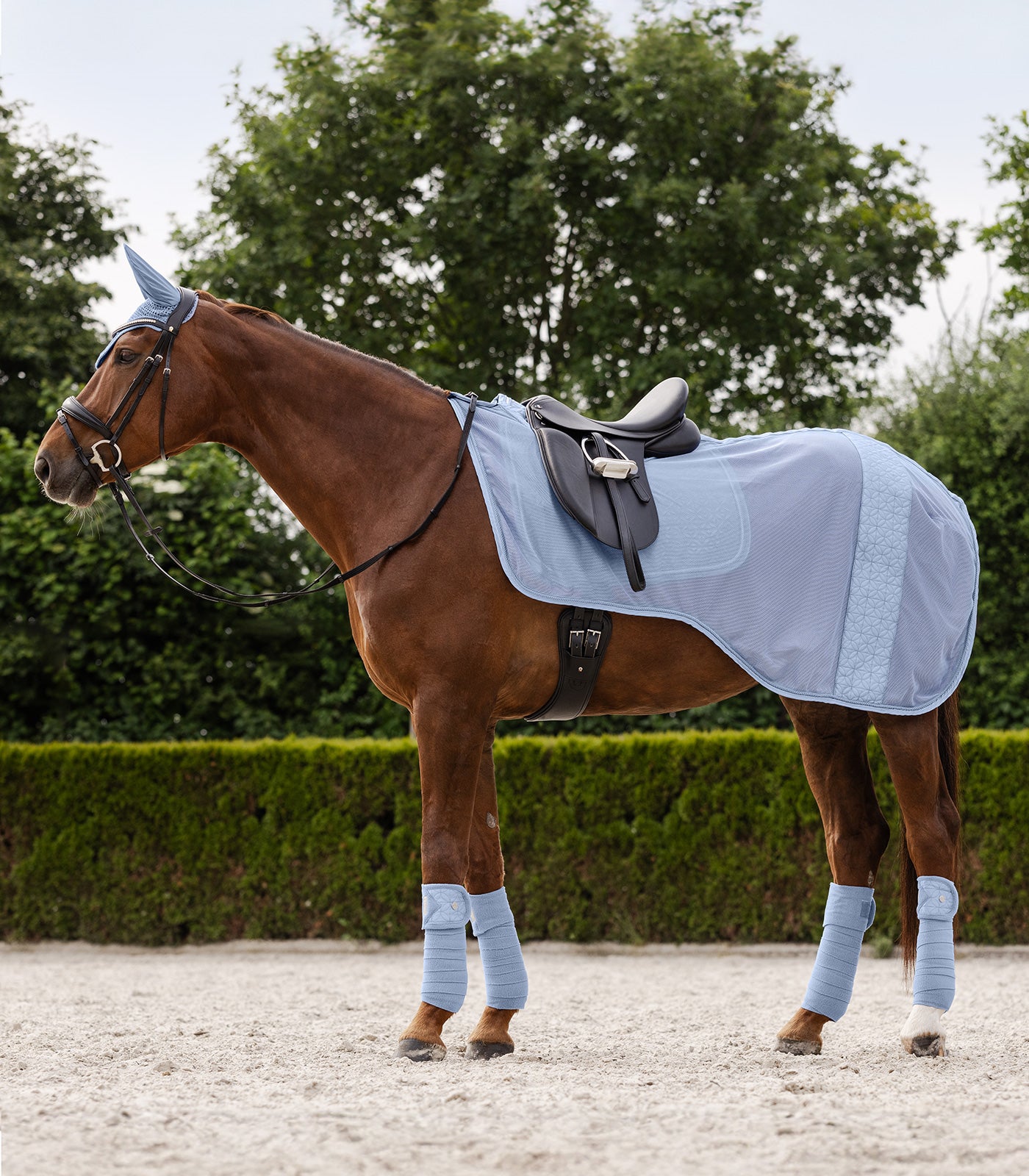 k-b-waldhausen-rom-insekt-rided-kken-riders-deluxe