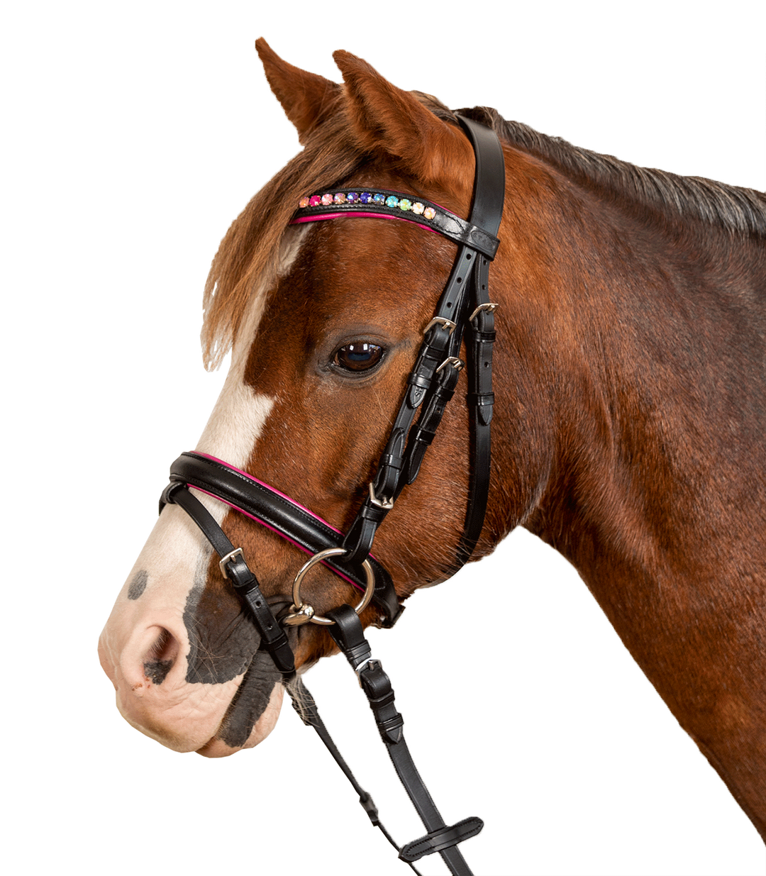 Waldhausen Star Pinky pony trense