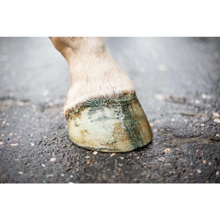 Excellent Hi Gloss Glitter Hoof Polish