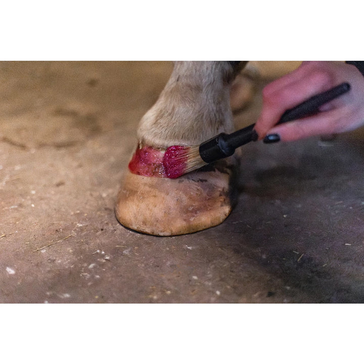 Excellent Hi Gloss Glitter Hoof Polish