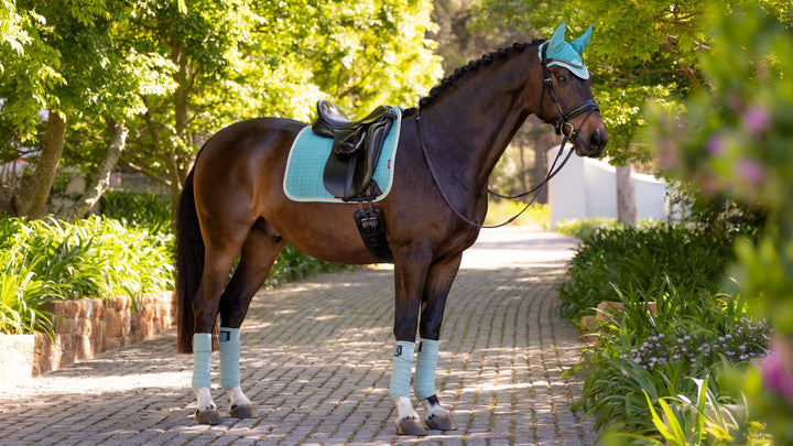 LeMieux Classique Suede Square dressurunderlag