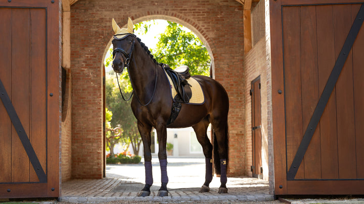 LeMieux Classique Suede Square dressurunderlag