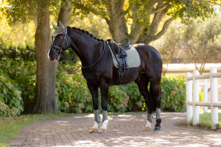 LeMieux Classique Suede Square dressurunderlag