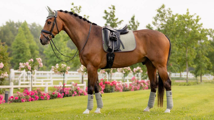 LeMieux Classique Suede Square dressurunderlag