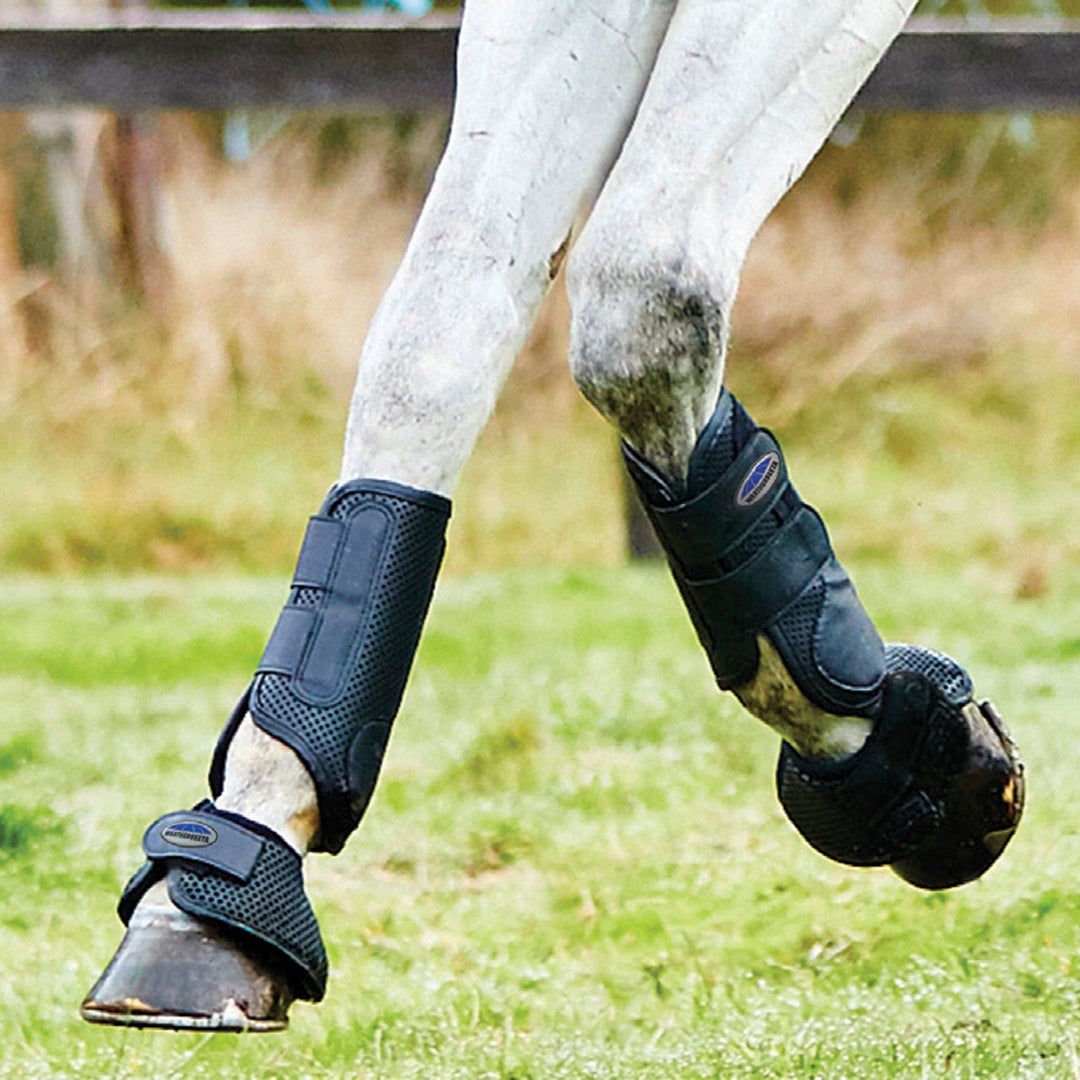 WeatherBeeta Cross Country Gamache forben