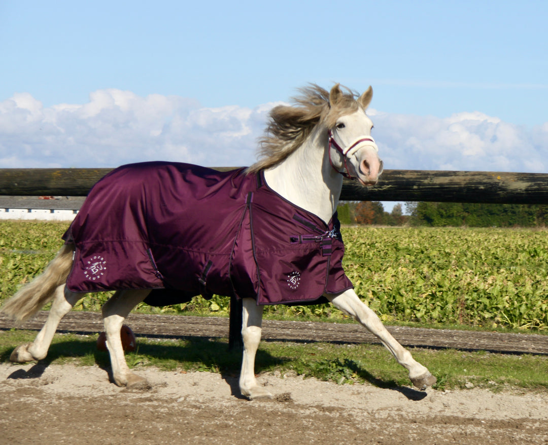 RD EquiComfort V Turnout dækken inklusiv hals og liner 100g + 200g +300g