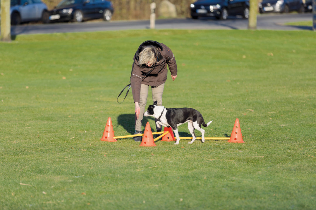 Trixie Kegle træningssæt 30 cm