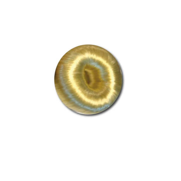 Equipage Hår-Donut
