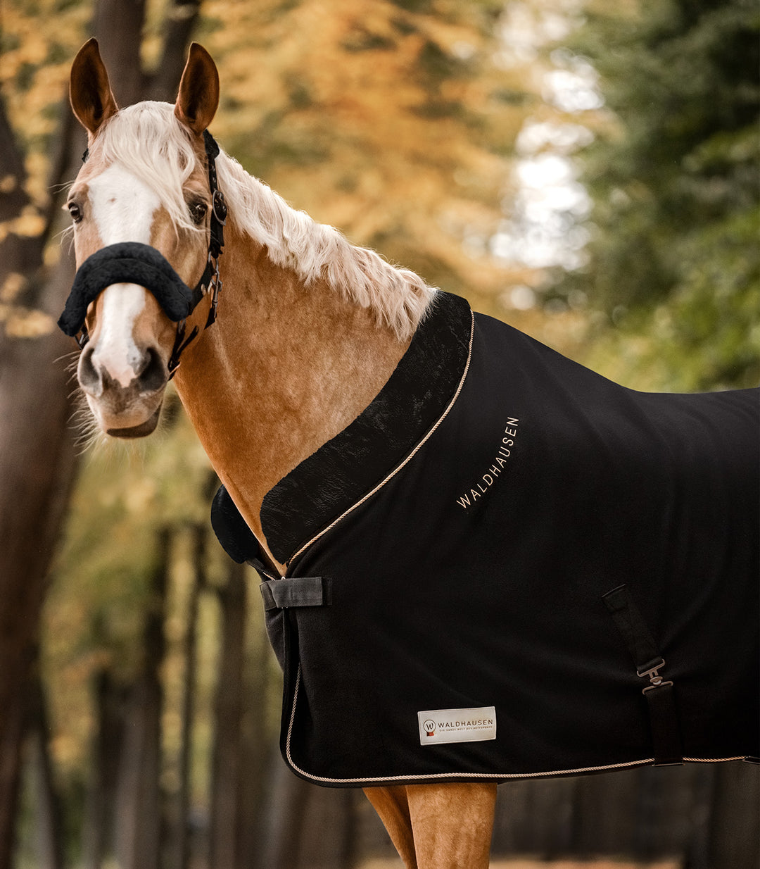 Waldhausen Modern Rosé Fleecedækken