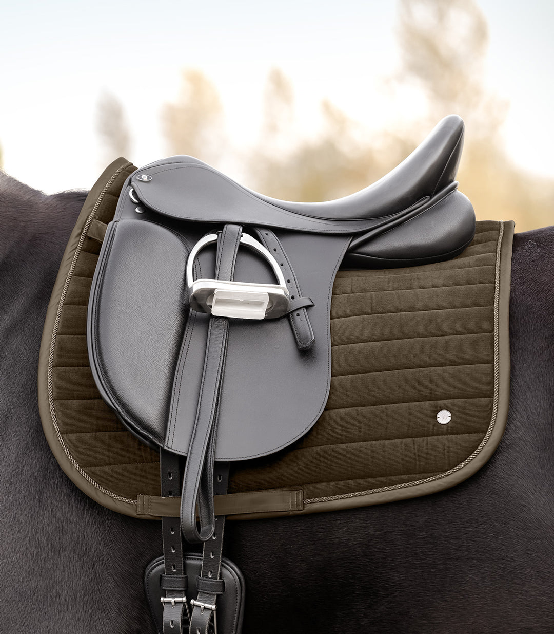 Waldhausen St. Gallen sadelunderlag