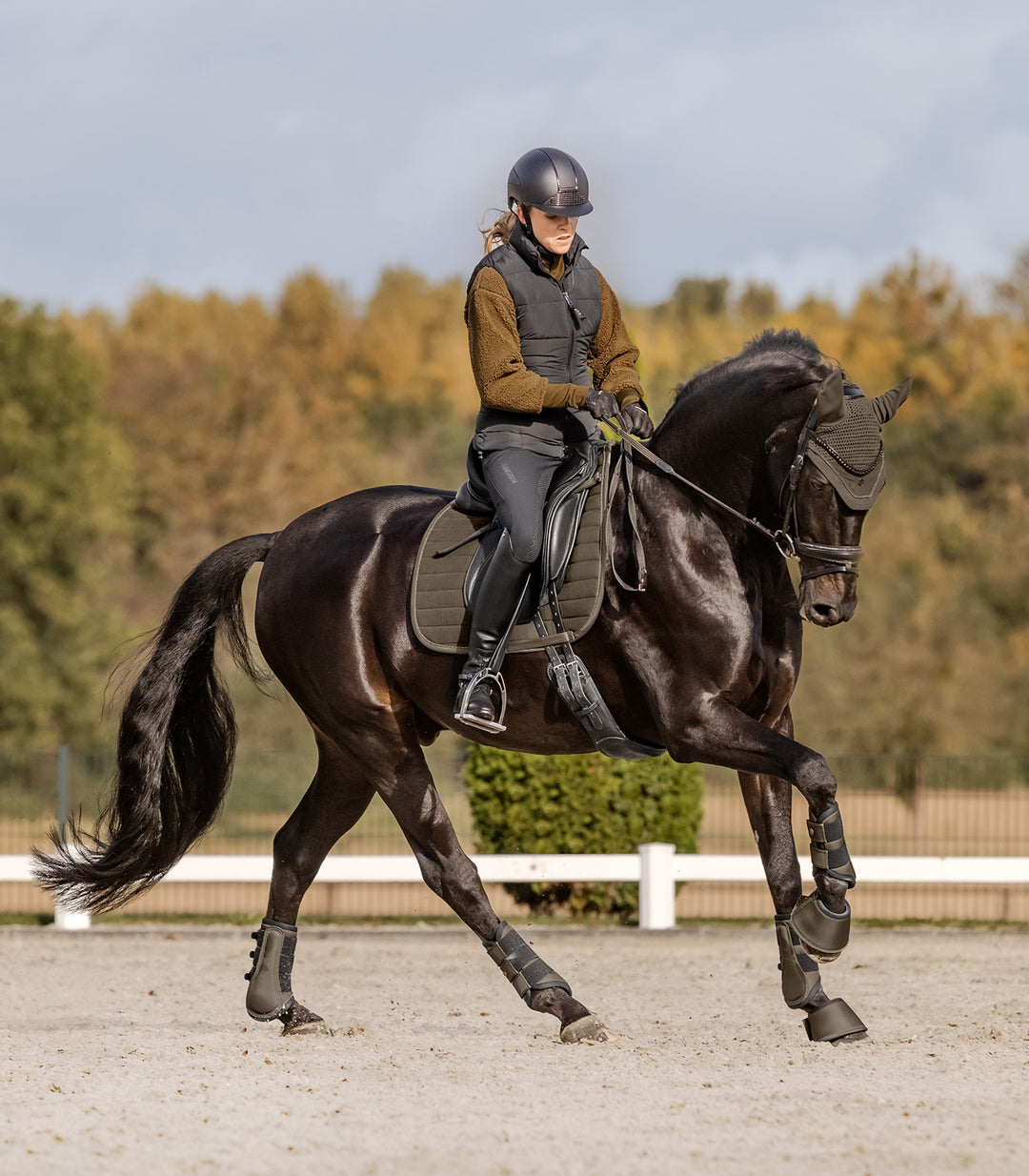 Waldhausen St. Gallen sadelunderlag