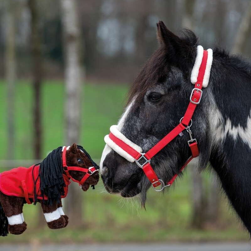 HKM Cuddle Pony startsæt