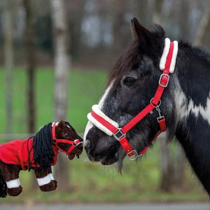 HKM Cuddle Pony startsæt