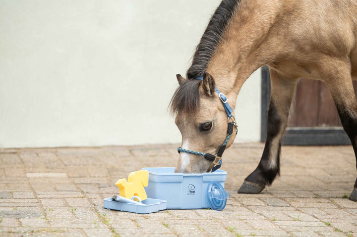 HKM Kids Grooming sæt