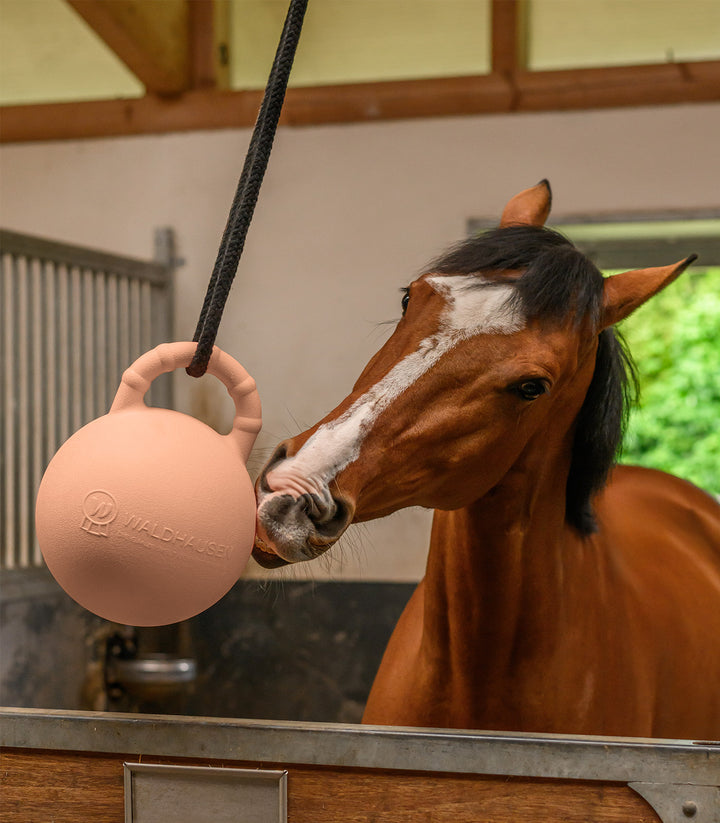 Waldhausen Fun Ball med duft