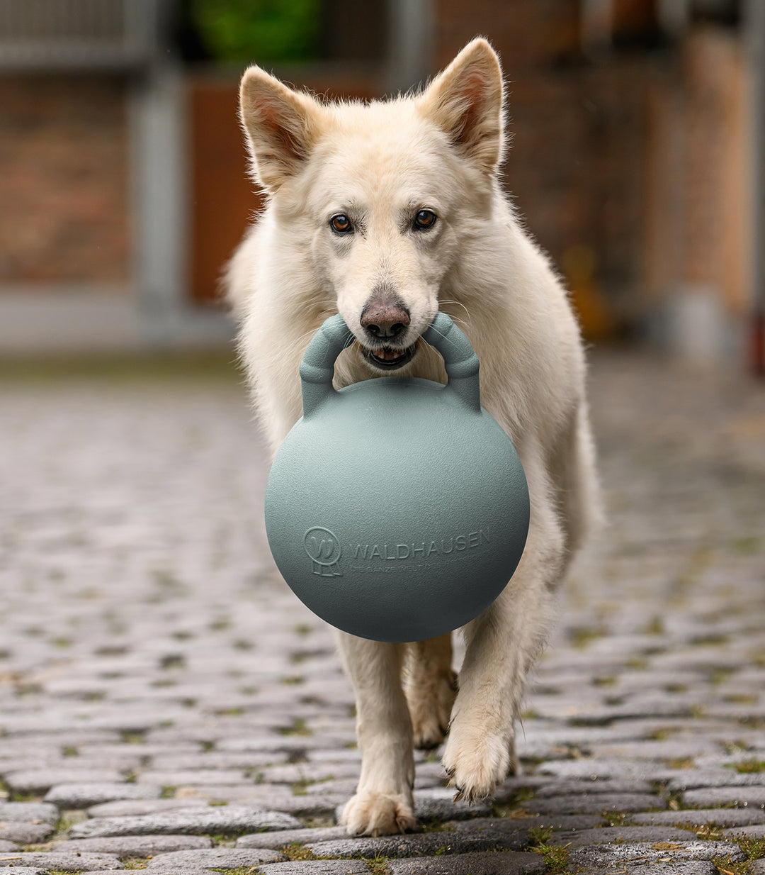 Waldhausen Fun Ball med duft