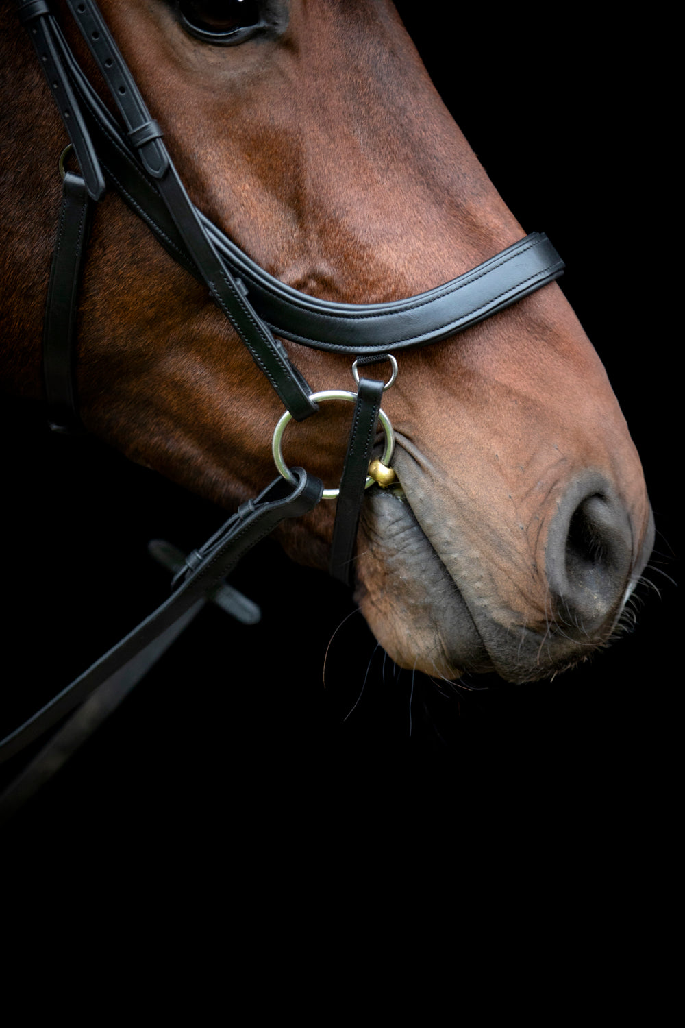 HorseGuard Vinja anatomisk trense