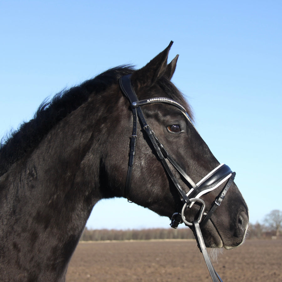 SPOT TILBUD- RD Lux Noir Trense Sort/Hvid