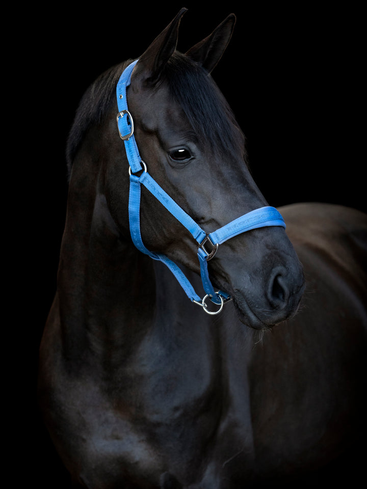 HorseGuard Diya 2.0 grime