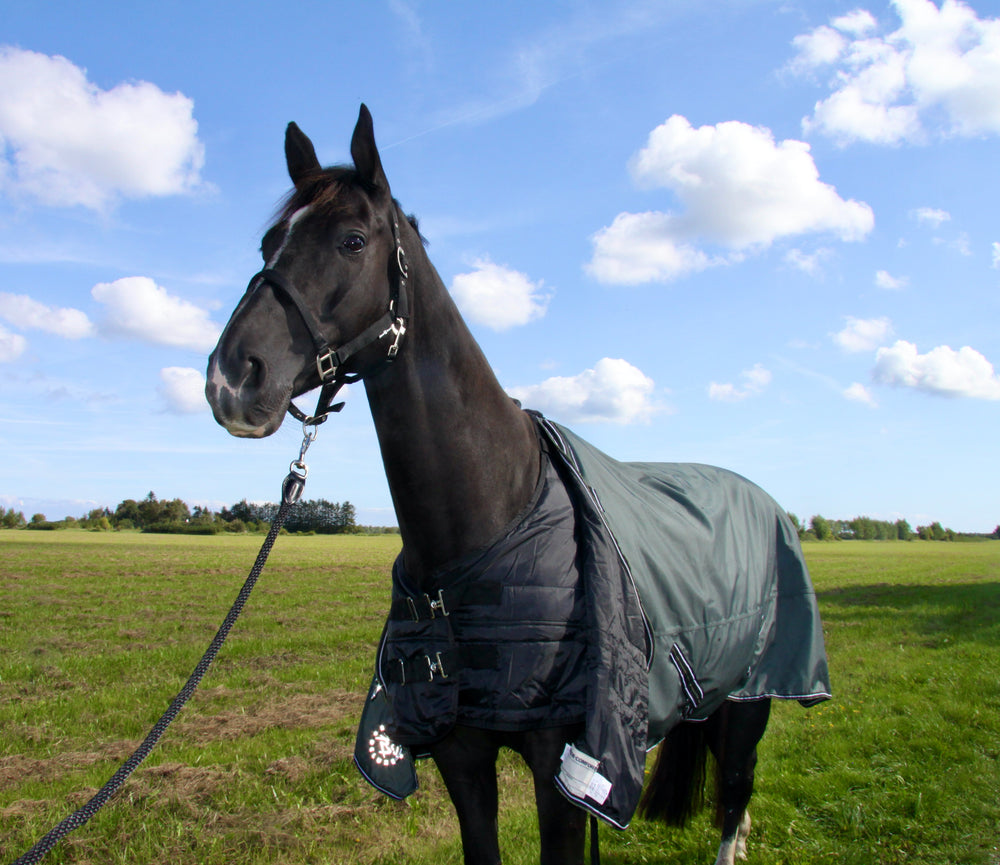 RD EquiComfort Liner, 100 g