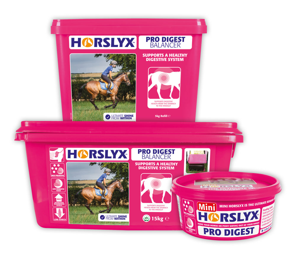 Horslyx Pro Digest