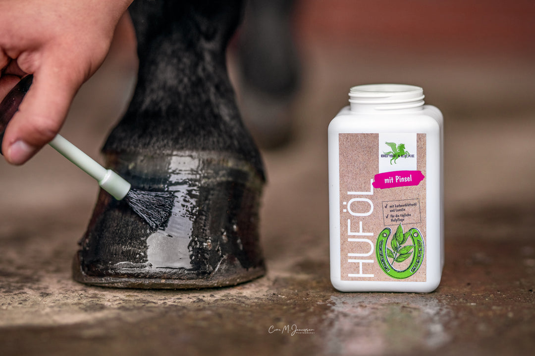 Bense & Eicke hovolie
