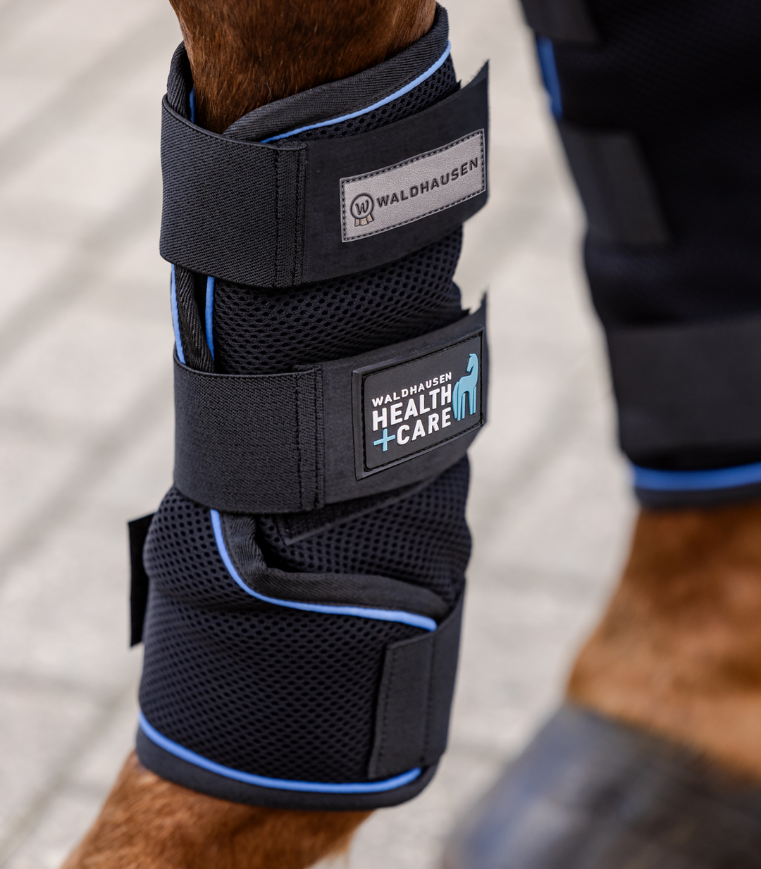 Waldhausen Health & Care Ice Layer kølegamacher