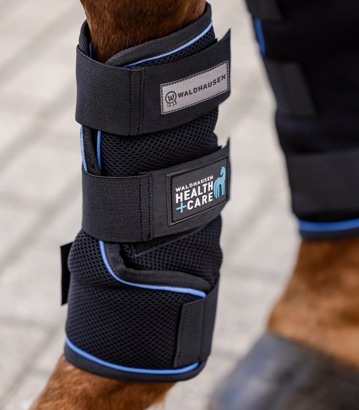 Waldhausen Health & Care Ice Layer kølegamacher