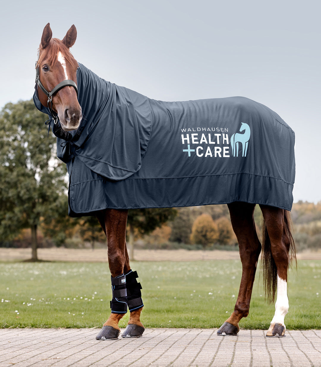 Waldhausen Health & Care Ice Layer kølegamacher