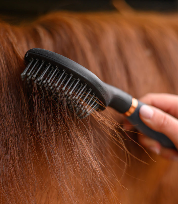 Waldhausen Man og hale børste