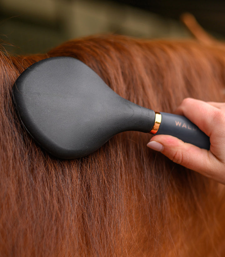 Waldhausen Man og hale børste