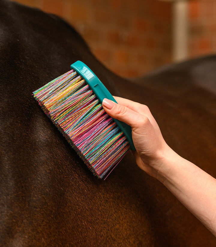 Waldhausen Rainbow striglesæt