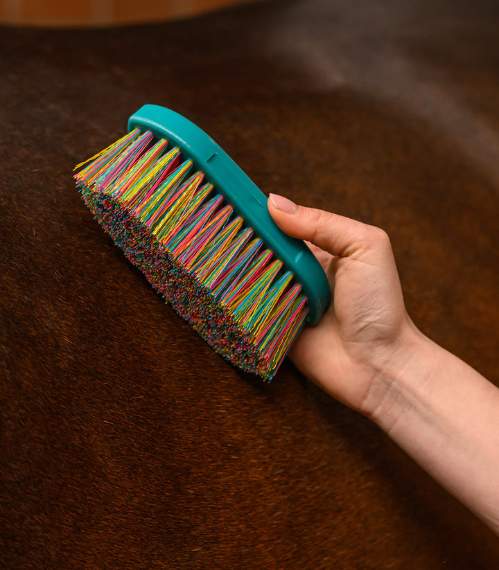 Waldhausen Rainbow striglesæt