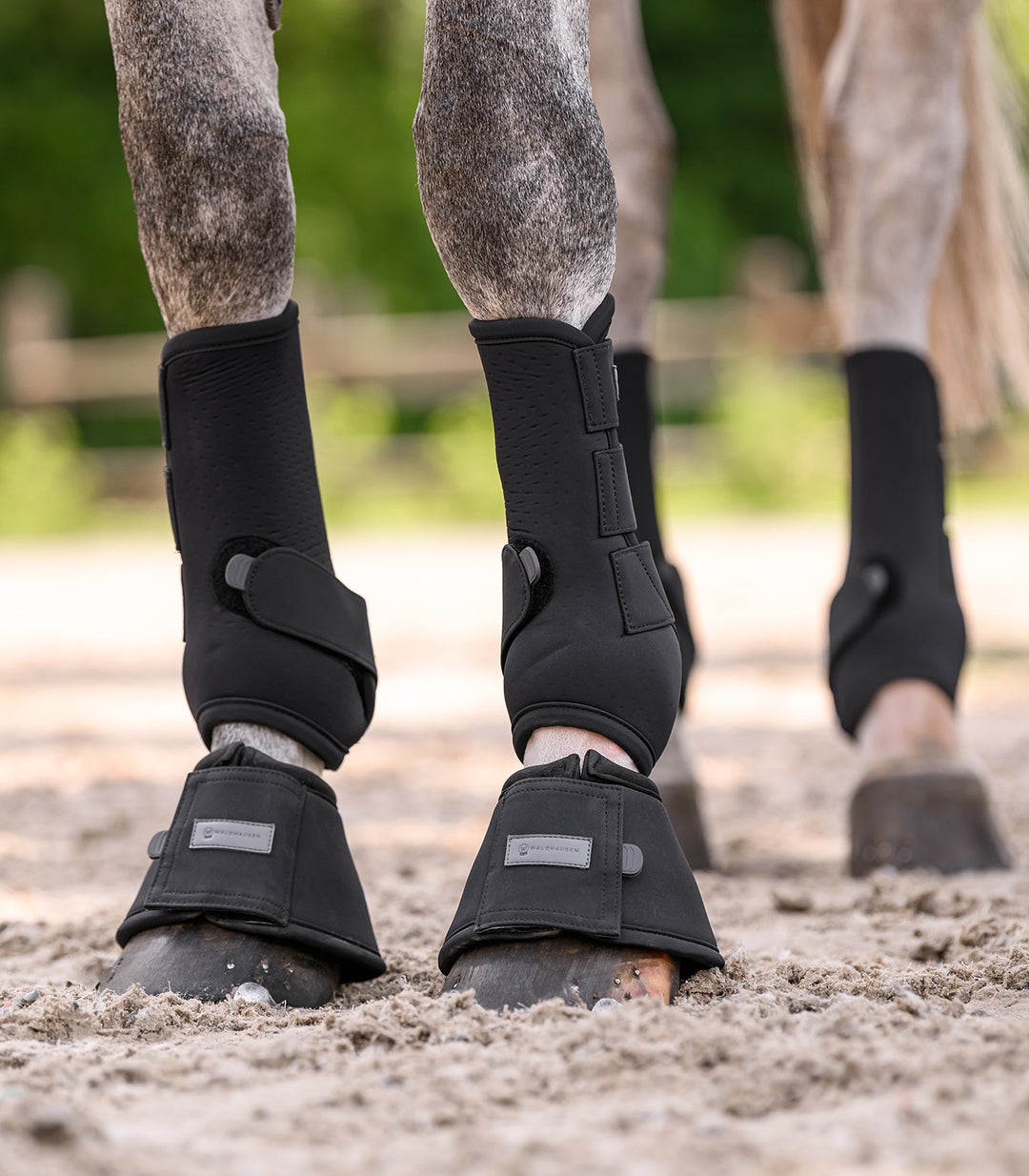 Waldhausen Performance klokker