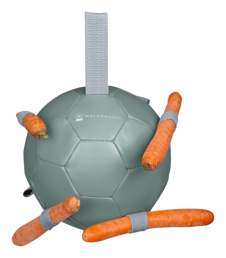 Waldhausen Carrot Ball gulerodsbold