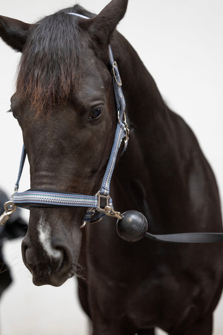 HorseGuard opbindingsstrop med gummikugle