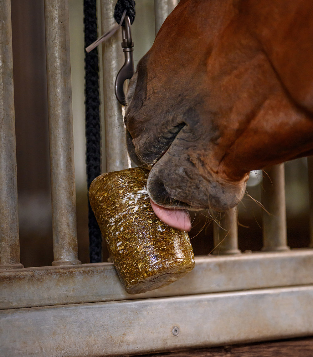 Waldhausen StableSnack Herbal Lick