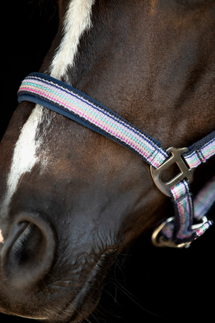 HorseGuard Mascha grime