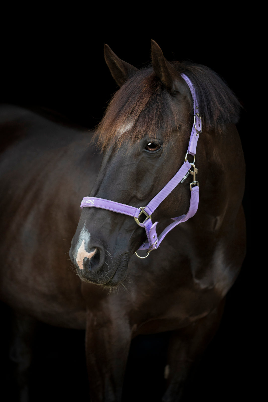 HorseGuard Malva grime med tekst