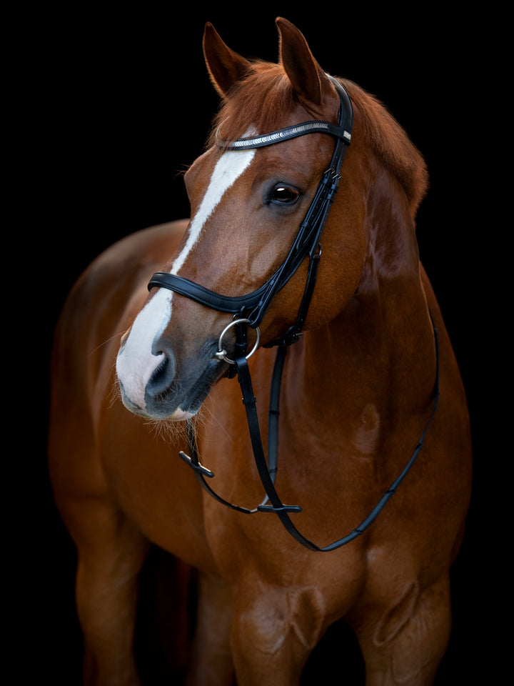 HorseGuard Tine anatomic trense
