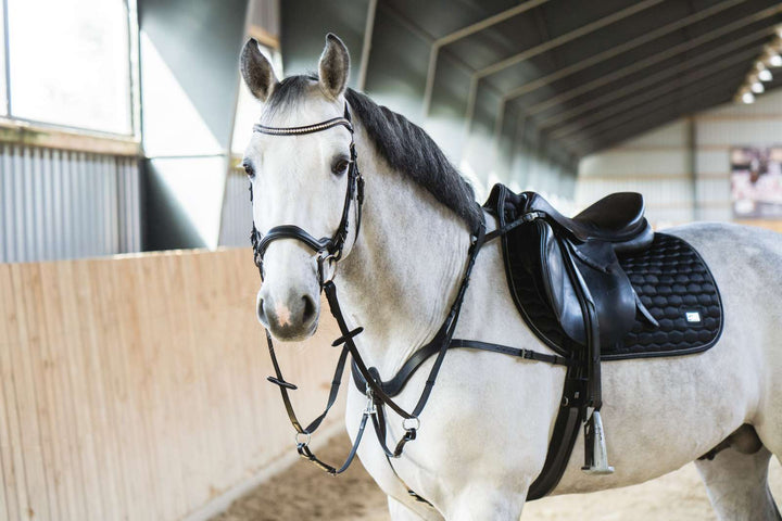 HorseGuard Luke fortøj