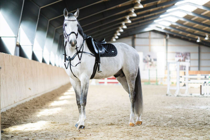 HorseGuard Luke fortøj