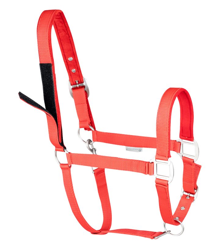 Waldhausen Safety sikkerhedsgrime