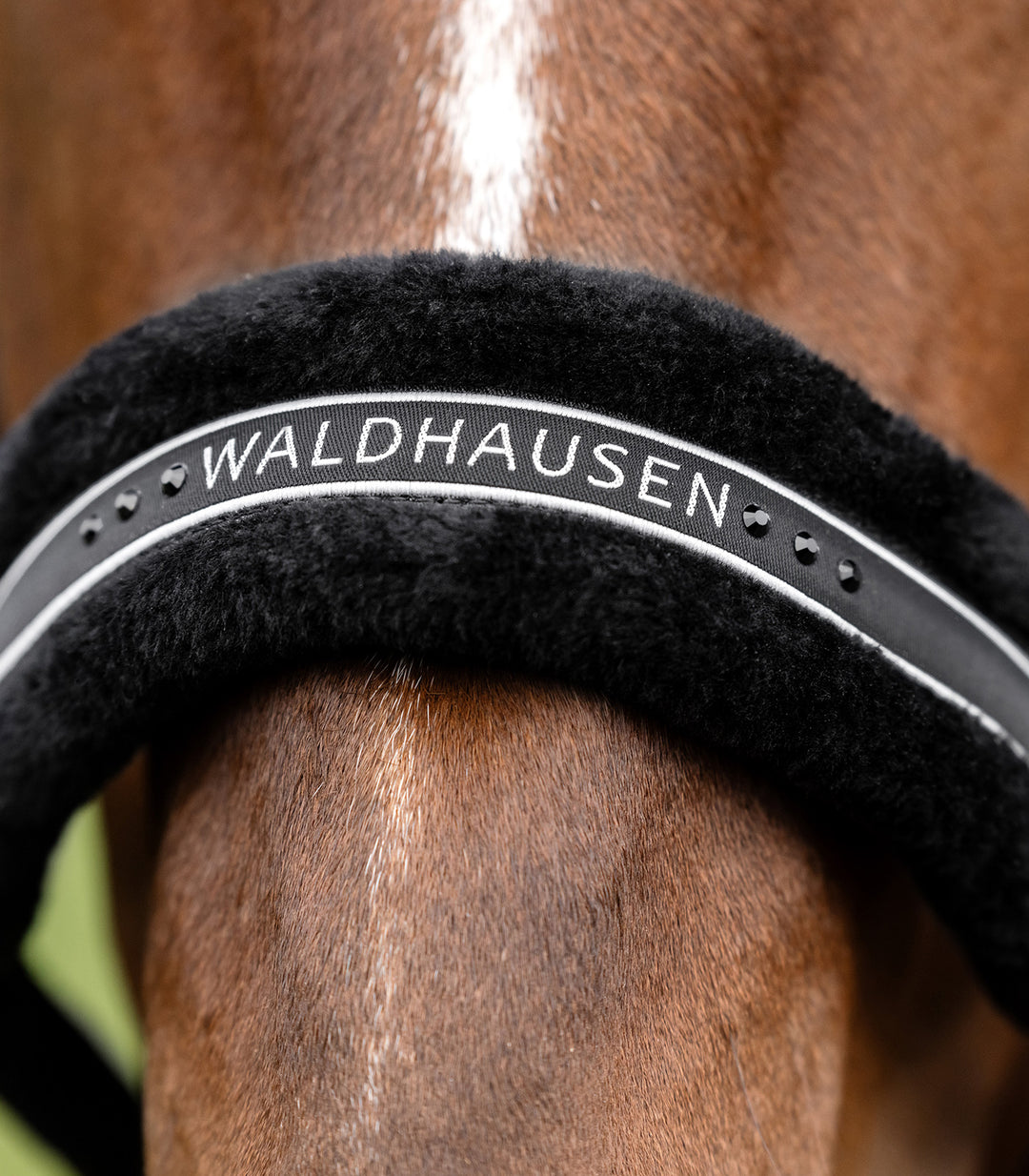 Waldhausen Elegant grime