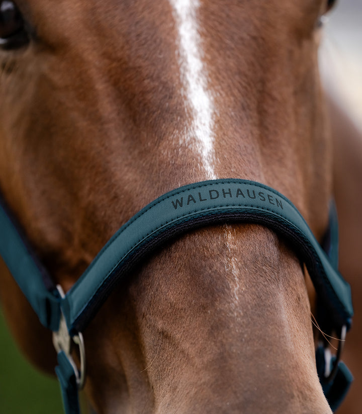 Waldhausen Athletic grime
