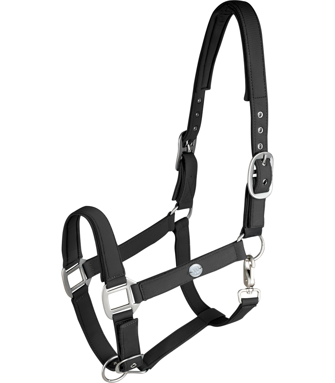 Waldhausen Trinidad grime