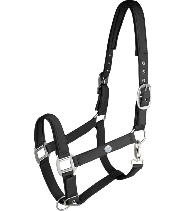 Waldhausen Trinidad grime