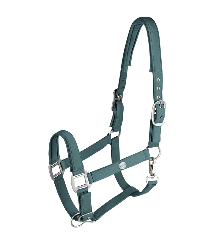 Waldhausen Trinidad grime