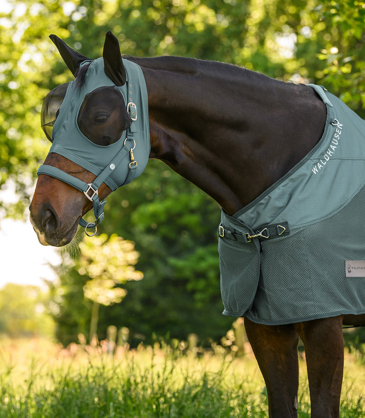 Waldhausen Trinidad grime